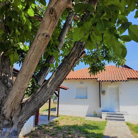 White Clam Vintage House With Sea View & Garden Makrygialos Exterior foto
