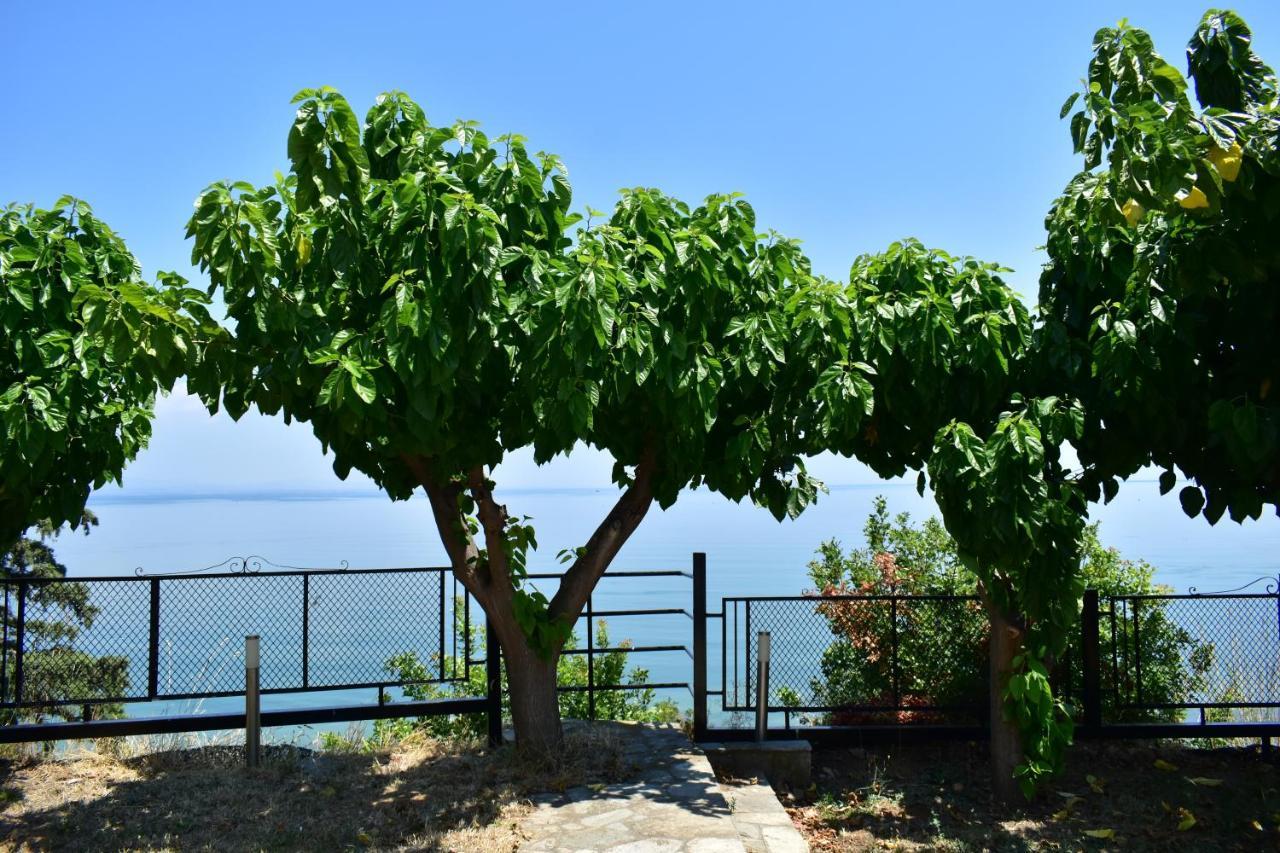 White Clam Vintage House With Sea View & Garden Makrygialos Exterior foto